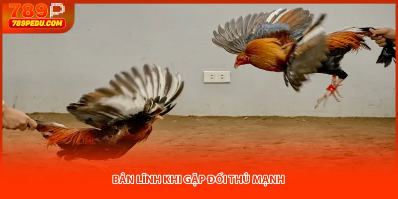 Bản lĩnh khi gặp đối thủ mạnh