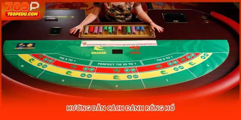 Hướng dẫn cách đánh Rồng Hổ