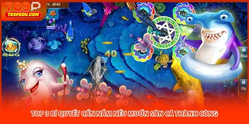 Top 3 bí quyết cần nắm nếu muốn săn cá thành công