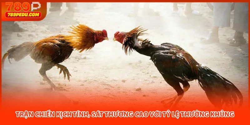 Trận chiến kịch tính, sát thương cao với tỷ lệ thưởng khủng